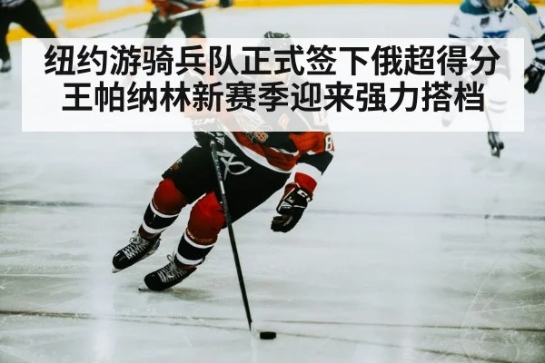 hockey player skating